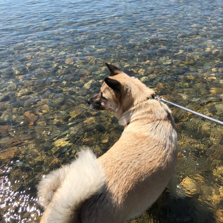 C8bcae24 72ba 4bbf aa3b c1c512ed76f0 1630220901960