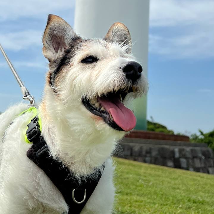 C8bcdb1e feae 4f75 952d 5aa41fc88112 1763603919164