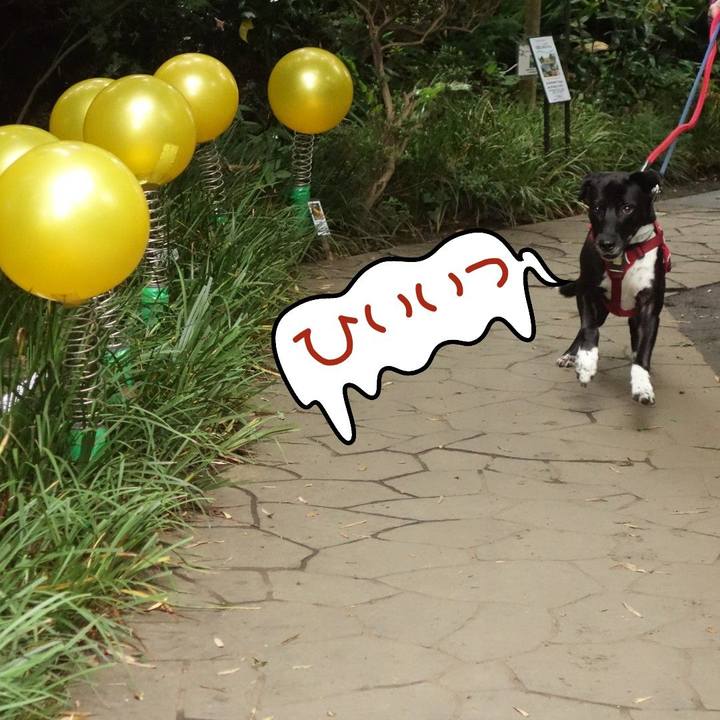 C8bce02c f5cf 4ad9 bf1c d8db09b4f27e 1621645282864