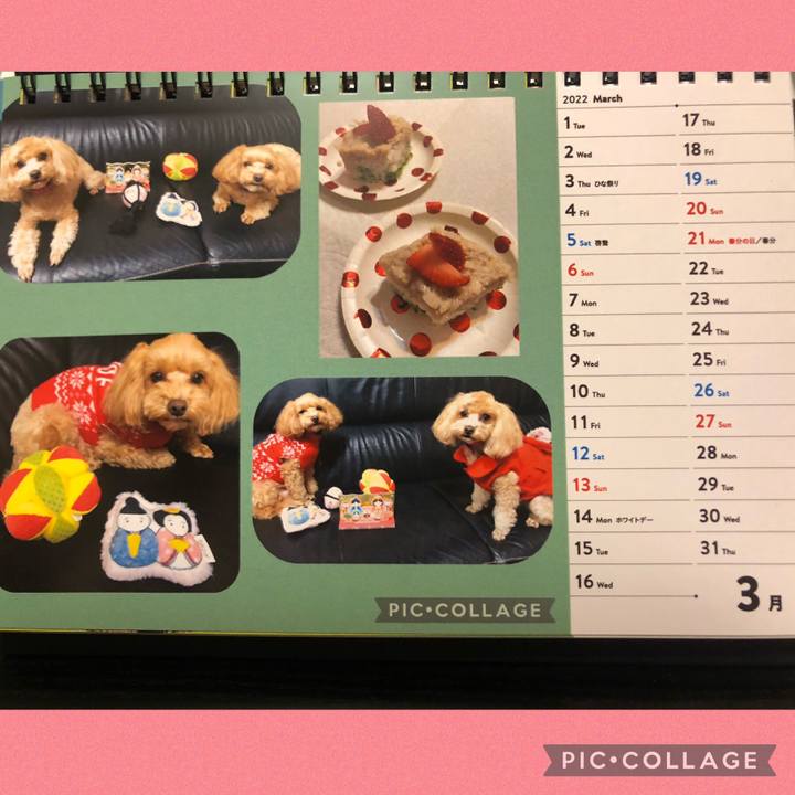 C8bd079f 4bec 463c 8eb4 22966c969325 1646166228249