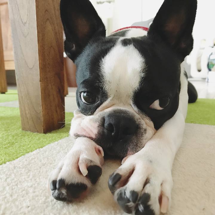 C8bd8450 7524 4c9a ae6b a6fca56a4a19 1529459383153