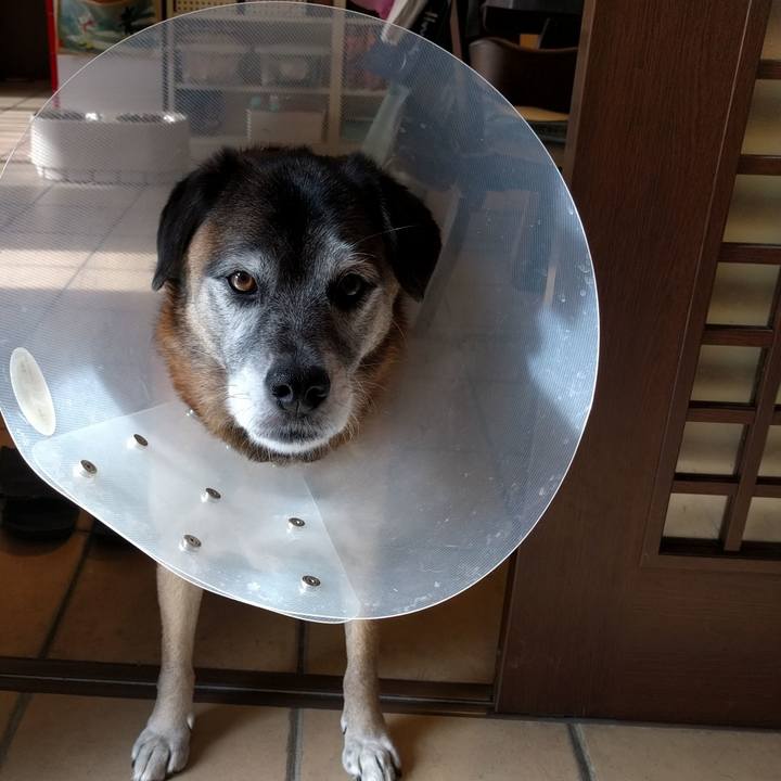 C8bde785 3d31 43d1 af95 ec9d3a497c82 1544497789482