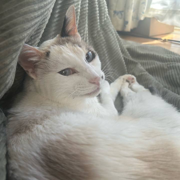 C8be0062 6a93 4580 9e4e 3cb2ba3dc26b 1768049212961