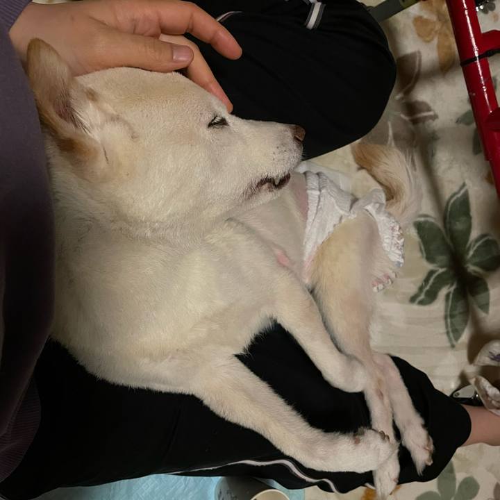 C8be31b6 86be 4032 8d6f 4e847c882096 1672349450696