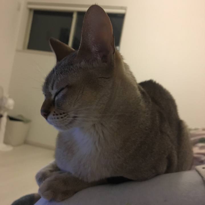 C8be3929 a80d 479f 9aee f36a7e09667c 1514376879865