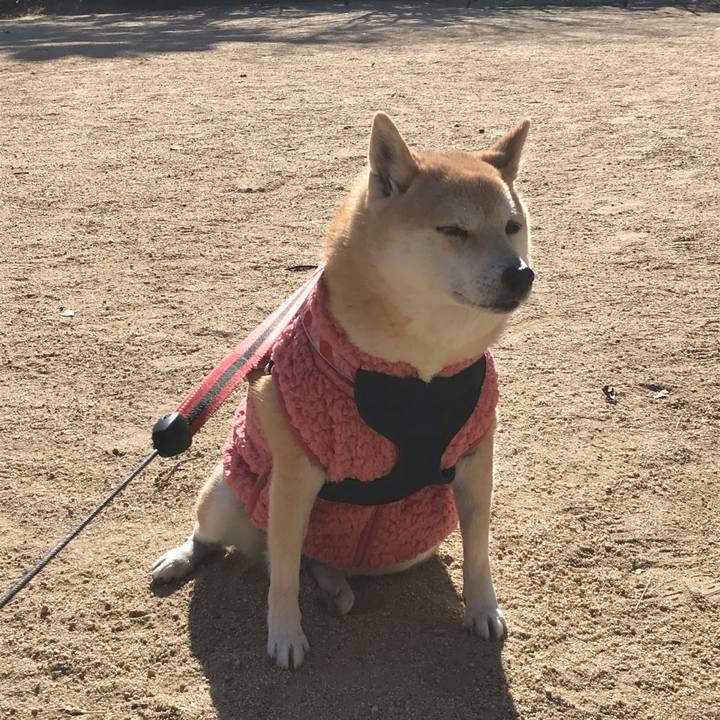 C8be538e 93d0 48d5 b68c d978ba7b8c35 1546065801738