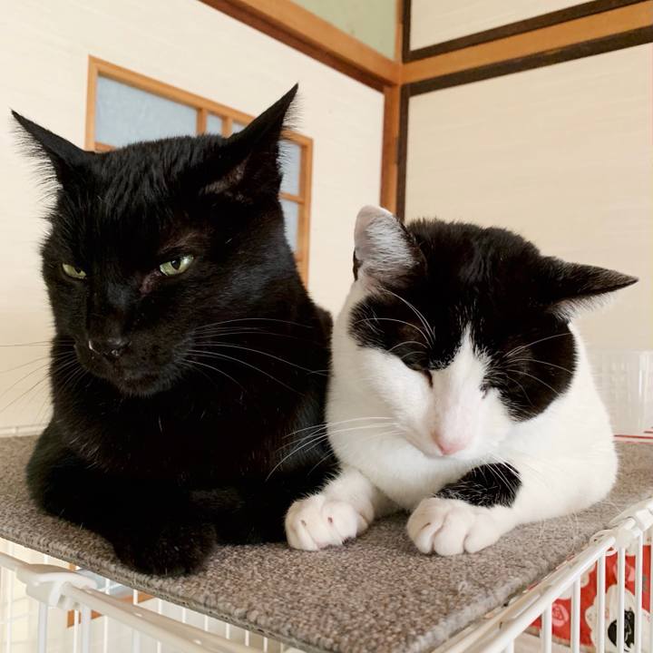 C8bea030 441b 4bd0 aa42 49c81d16fd68 1553659043651