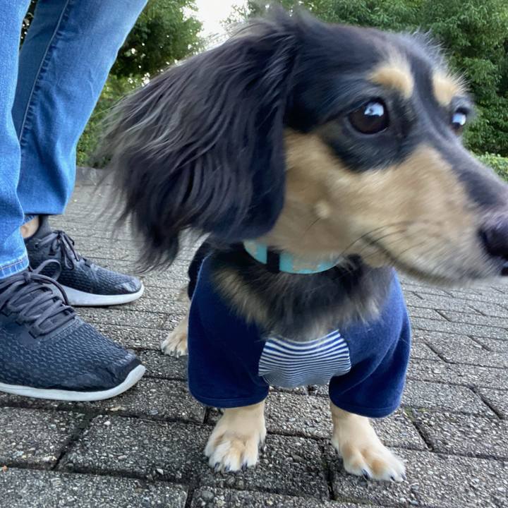 C8beb24a 1feb 4c66 9cc9 84f3918ff695 1697419019547