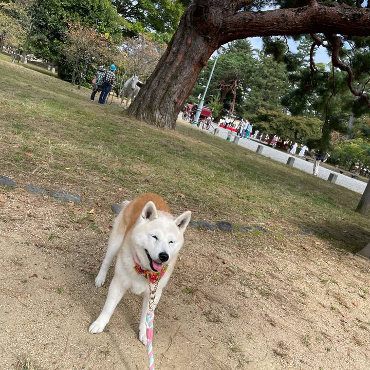 C8beb572 785c 4801 8ff4 7ee6c010a318 1666405786388