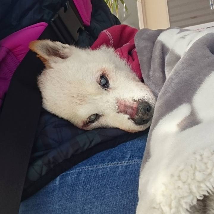 C8beba32 df25 4077 bbb2 2dc848b5a313 1548465893230