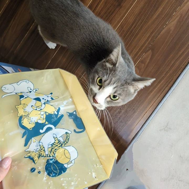 C8bec7bf 262e 40b9 b6d0 4716d8ff8212 1765779563864