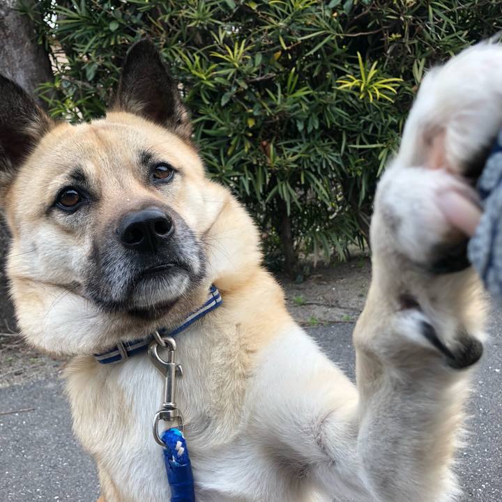 C8bee3ec c4c1 42ba 90cb e91a399746b5 1553860016106