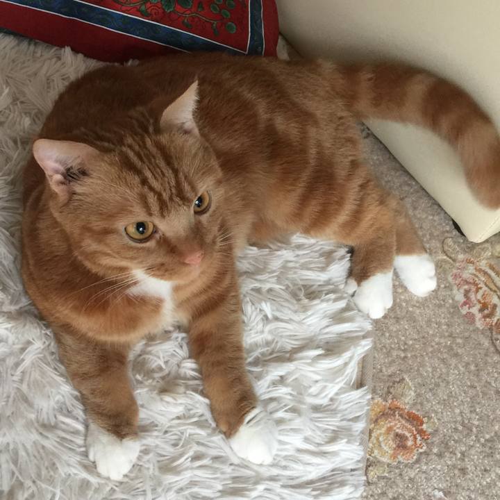 C8bf2381 8b04 4617 bfc3 48f82179c436 1538915718339