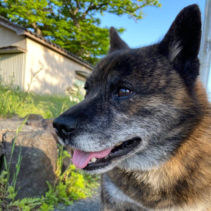 C8bf508f c54e 4769 ab10 745d5a7af6c5 1589446196335