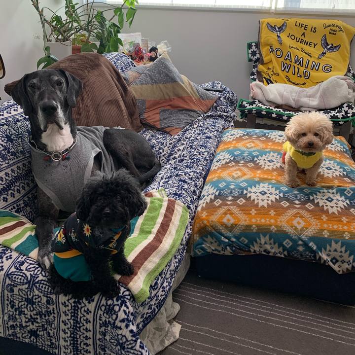 C8bfbd44 1943 4915 8f87 ada1e42f759f 1582583710599