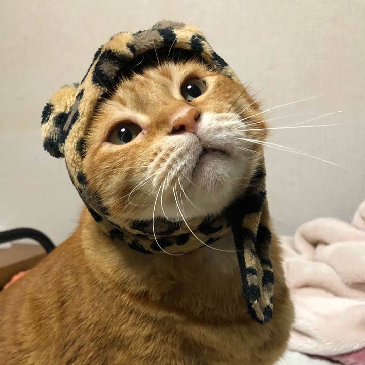 C8bfcece a1cb 4d8f a184 0fb07acee329 1652520716446