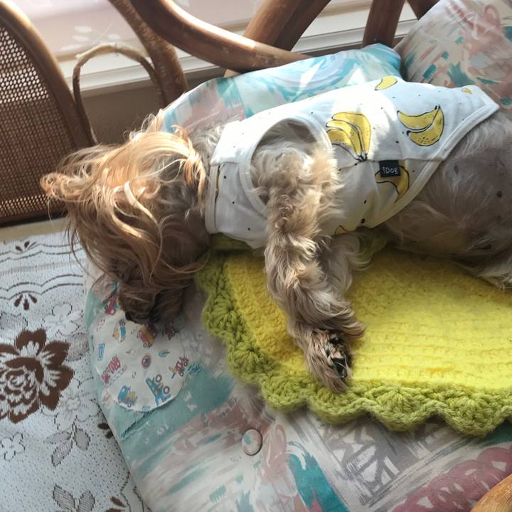 C8bfe6c4 505a 42b9 bcfa 95ed7620ca14 1612602213593