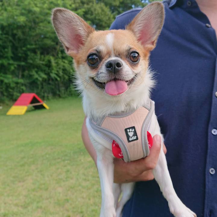 C8bffa55 f741 4ca1 9d95 4bb85b2ee765 1565853058131