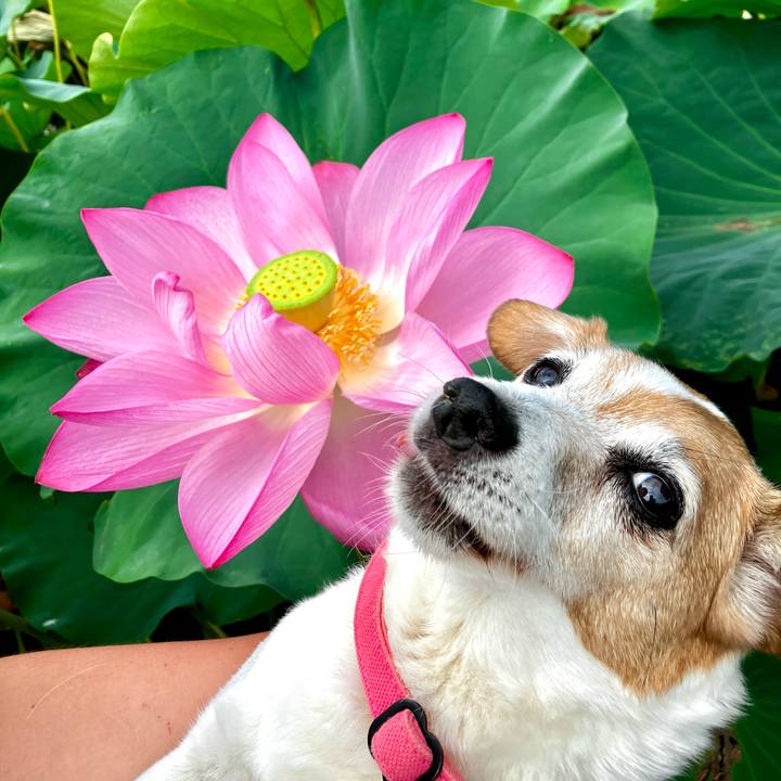 C8c006d1 6947 4802 9d0e 4575142e9b3a 1722041662532