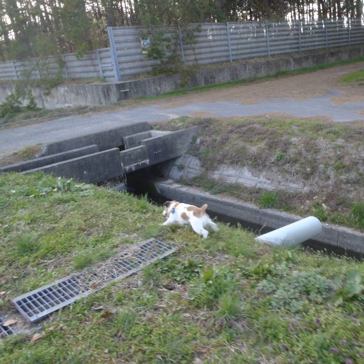 C8c00e05 77af 4b21 8195 ca93283feaba 1523180489606