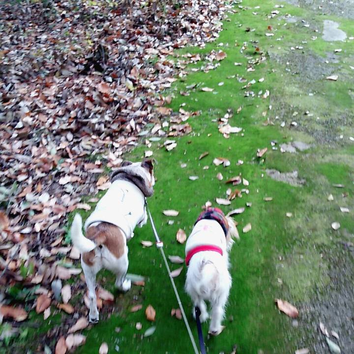 C8c01066 9514 4dd4 a98c 6995f7476f27 1512885817495