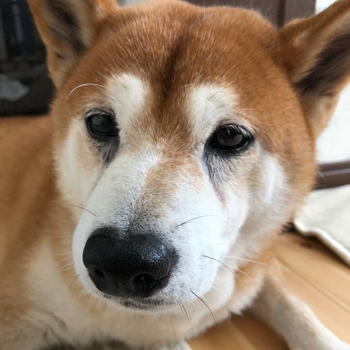 C8c0122f 7e06 4a70 be4d 371c9ee679b9 1538876518307