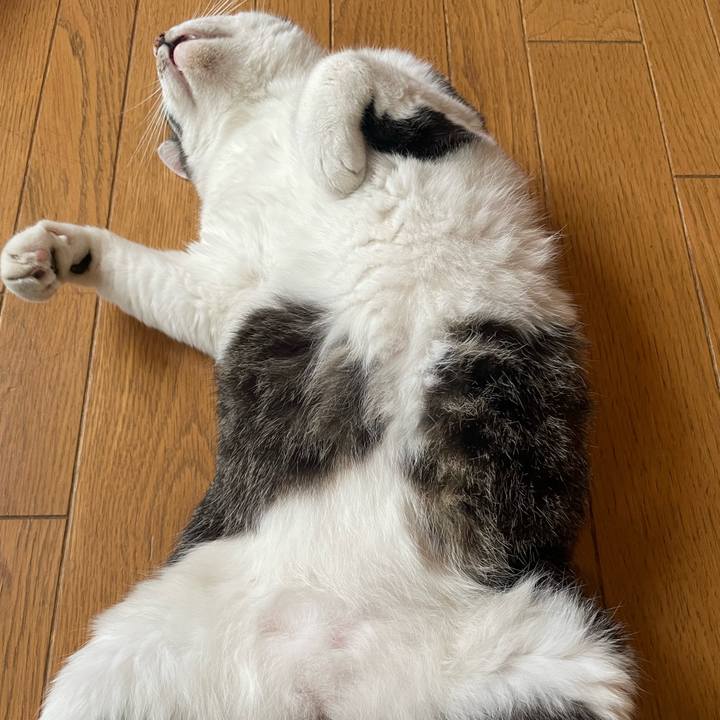 C8c041e6 ab5d 4fb7 b219 b72d30416147 1719578587727