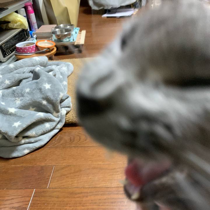 C8c042c0 c1eb 4116 8cc7 62c17d3b5aec 1580015034703