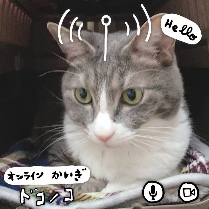 C8c064cf 7ffd 4175 816e 88ae71ecb123 1590813636552