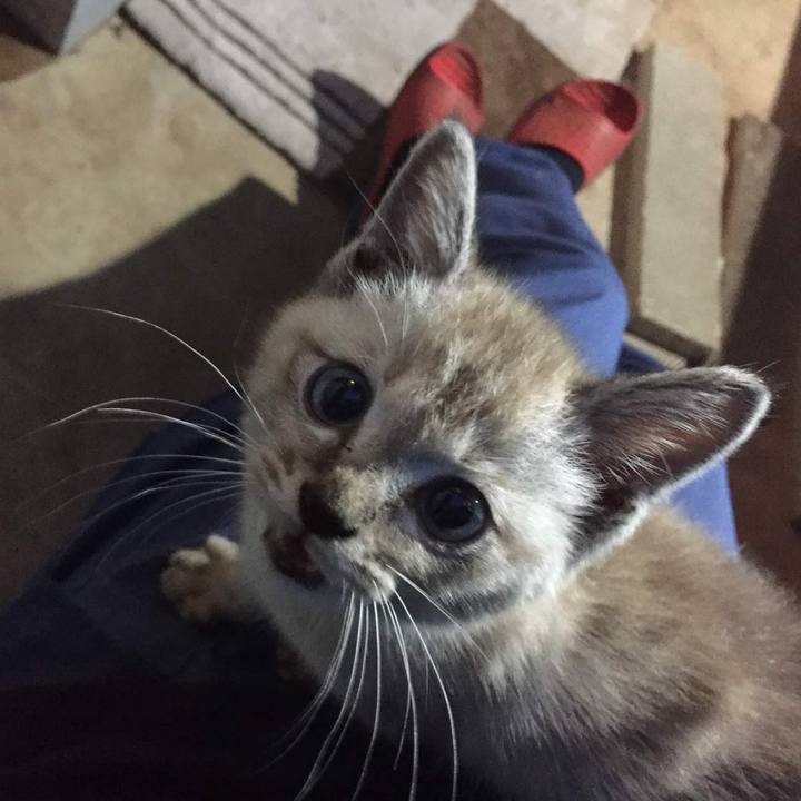 C8c06cee 61a3 4076 9c3a 2798ec853d0e 1601471325101