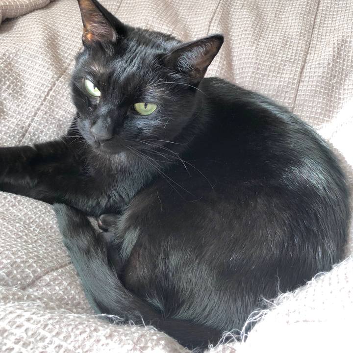 C8c08ff8 9b77 4aac 89af 3d2f78550884 1587261372539