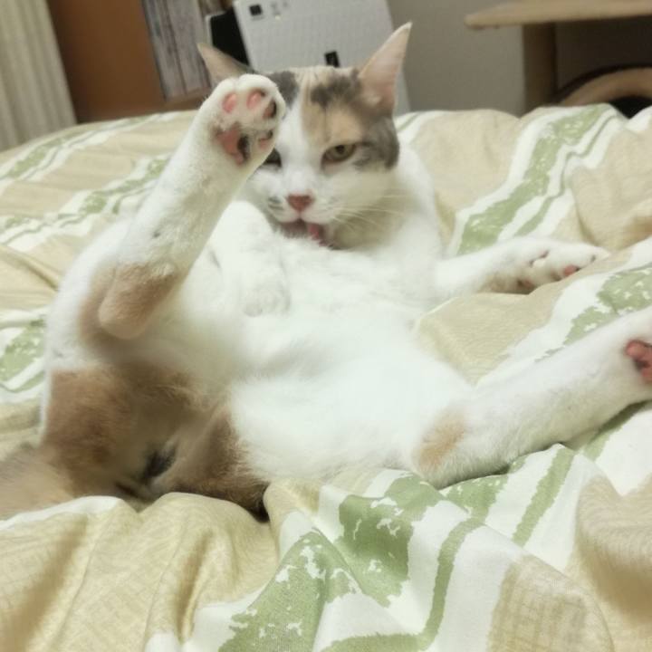 C8c09394 2656 4122 9710 434fe66975bf 1540202769196