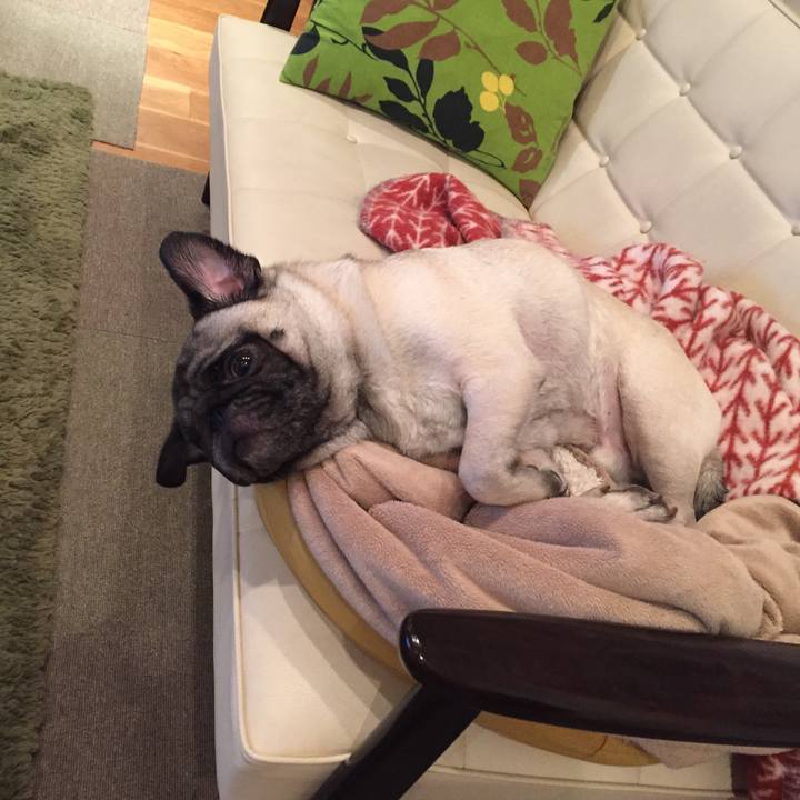 C8c0b49b 7ed8 4a0e 8be6 d81f587b520c 1514369861223