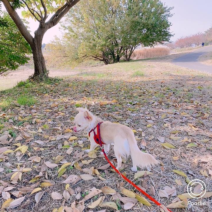 C8c0e507 a6ae 4930 bdde 338c582d1d5f 1605691428496