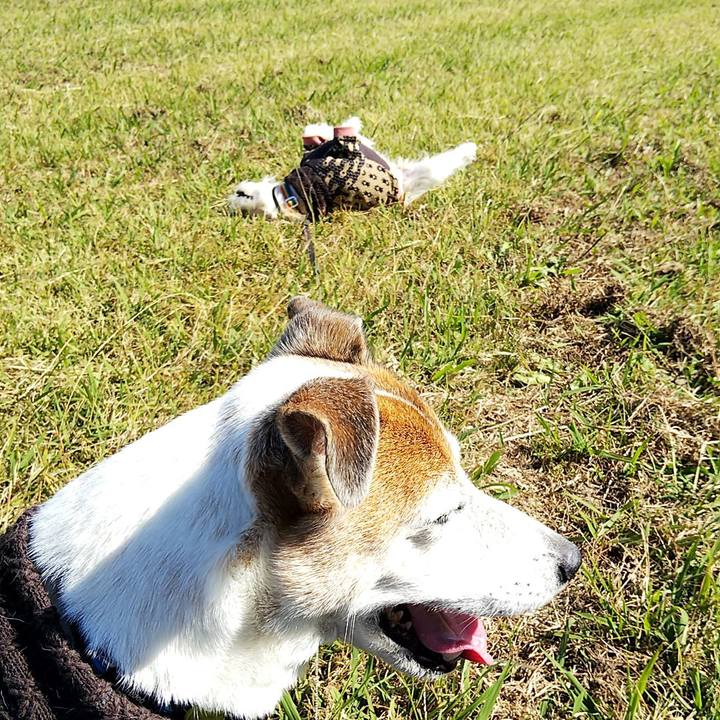 C8c13fd9 0f32 43c8 8c28 1b14bea6bfe7 1541253178860