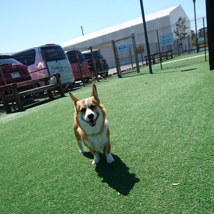 C8c14078 e02b 4952 94d6 13c0881b3b3e 1584929969001