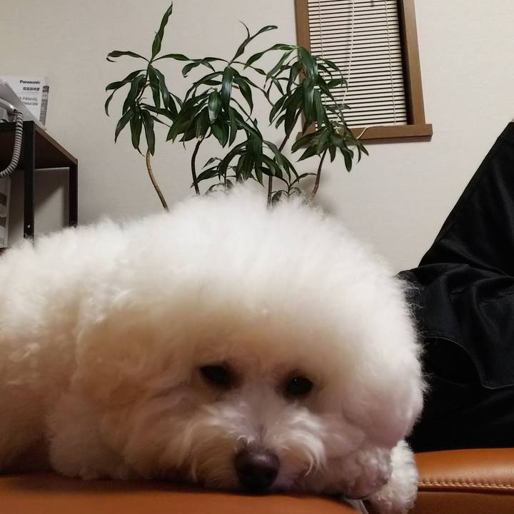 C8c14b6e 8cdf 4be0 87ad 066237ca6863 1533467710797