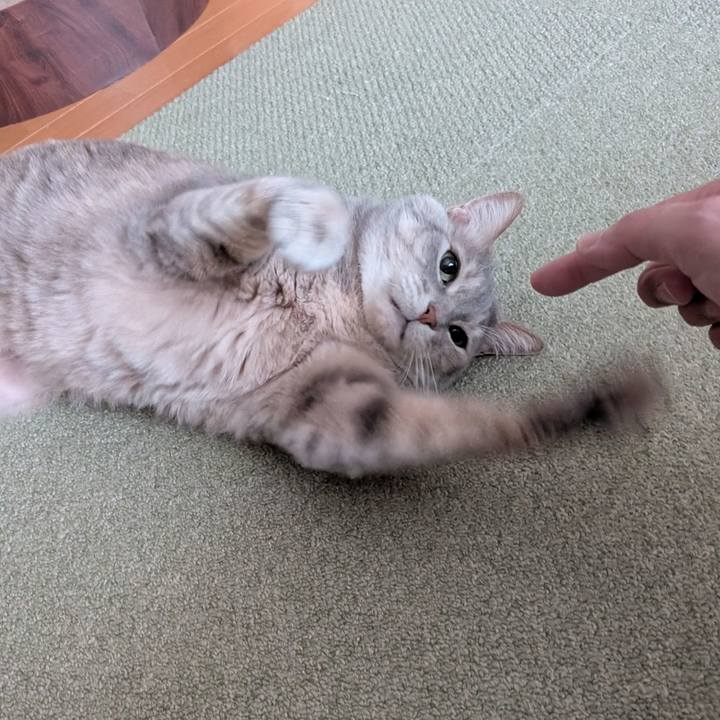 C8c16c08 8db1 448a b7dc 90fb2ef8aad6 1774849975316