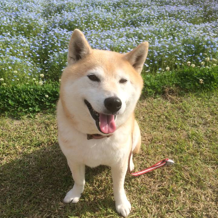 C8c1801c 8e3f 4373 9ad7 a4279deab8b2 1523282511383