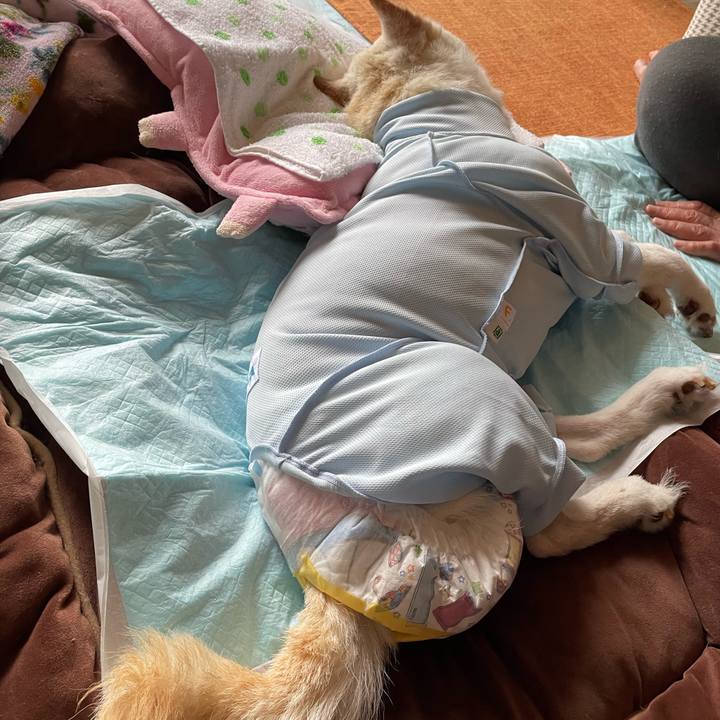 C8c1a760 cb6c 478f a93b 99d7fb33ea0d 1674549269343