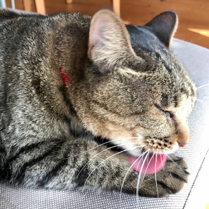 C8c22e8f 6a23 4533 ba6f 337dc73adb6a 1604562053618