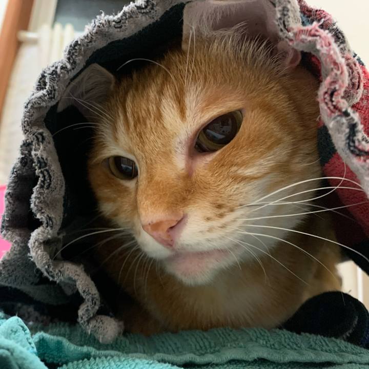 C8c233d9 9225 4a00 8dc8 fbd768d3e451 1573478949879