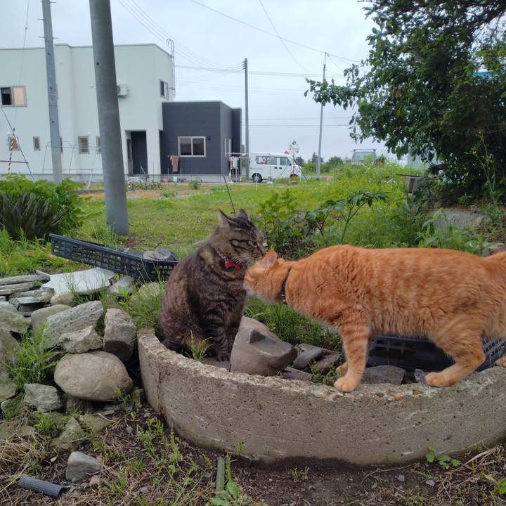 C8c23462 bd07 4a0c 99f0 bf1bdbd555f9 1686523055485