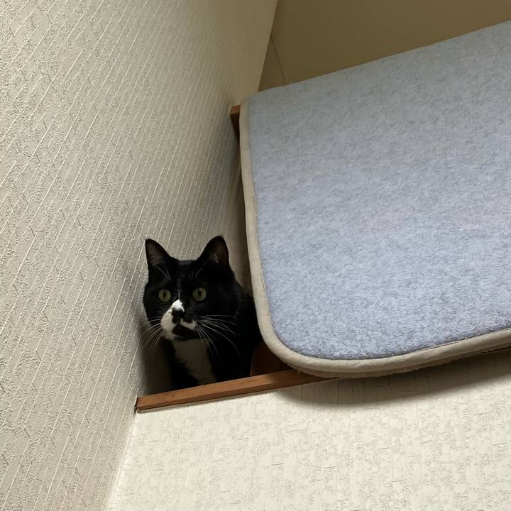 C8c23643 d59f 4579 b238 8364200b4e3e 1765512375673