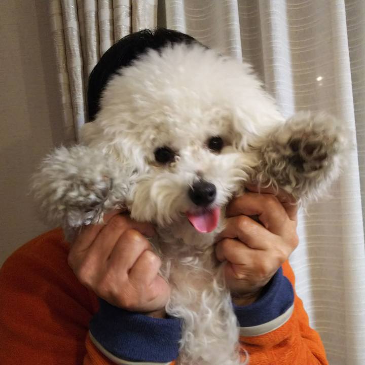 C8c24914 6f4a 4864 a763 38aec3e83e24 1515411505353