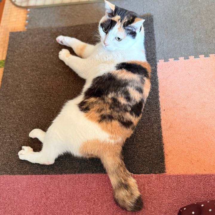 C8c2620b 0bbb 4d46 9d45 72587de5885e 1736302248539