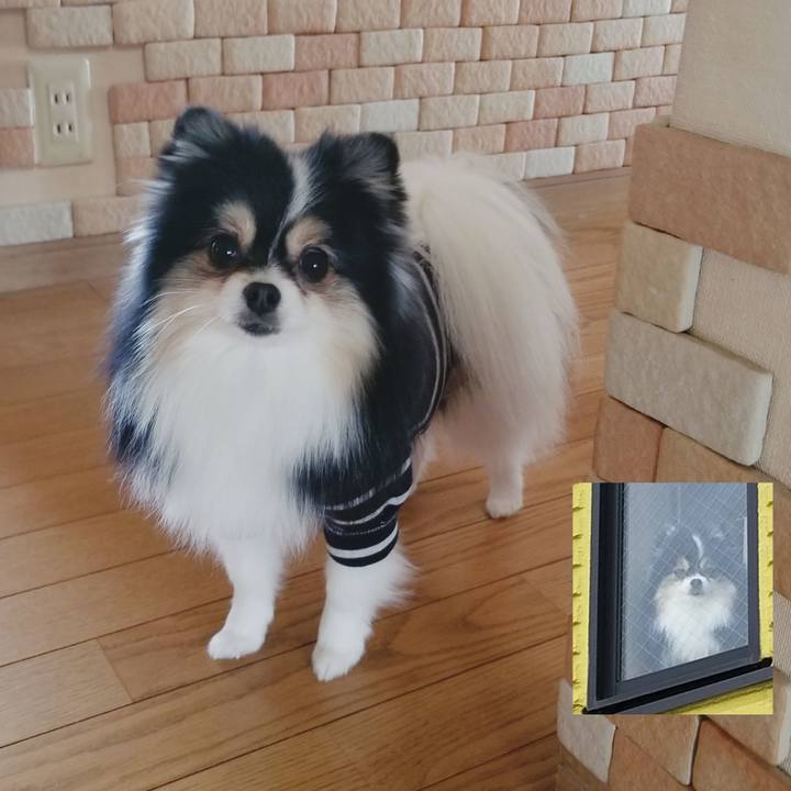 C8c26a18 eab1 441c 9410 db4ff3113fcb 1544484222036