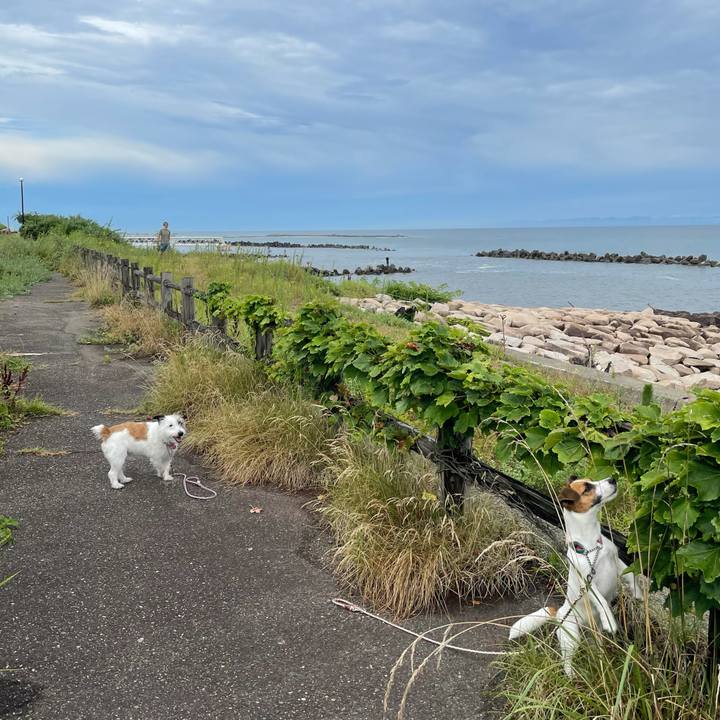 C8c270e8 fa6b 4e7d 8dd4 fecff1be459e 1628465953776