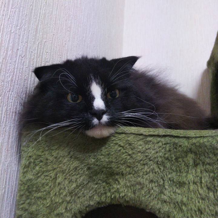 C8c27bb1 b63b 429d 9e39 f98d5a12d982 1664883125846