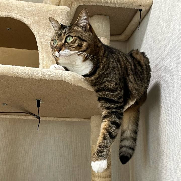 C8c2a120 6e26 4e29 baba e0d30d73a777 1751897561049